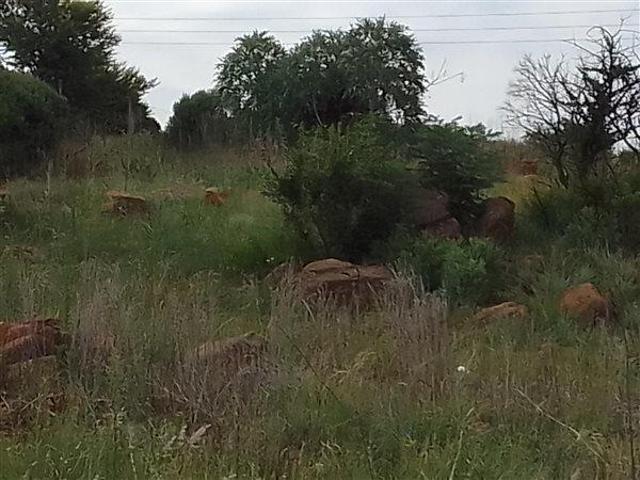 Property for sale in Gauteng