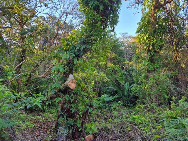 Property for sale in Ugu District Municipality, Kwazulu-natal