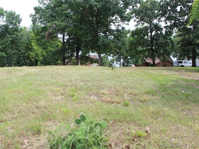 Land for sale in Gravois Mills, Missouri