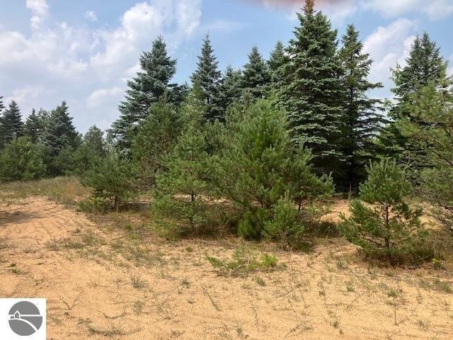 Land for sale in Buckley, Michigan