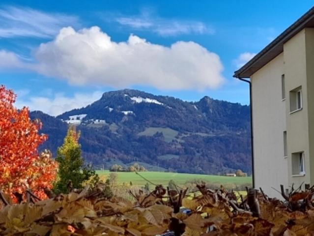 Wohnung mieten in Vuippens, Marsens