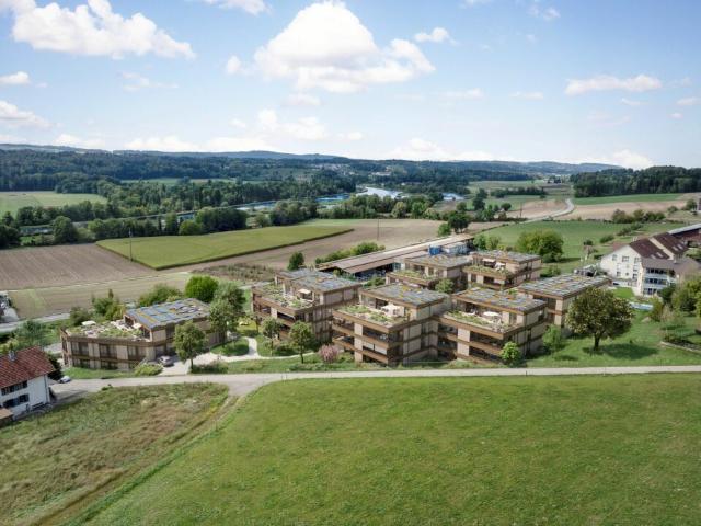 Wohnung kaufen in Unterlunkhofen, Bezirk Bremgarten