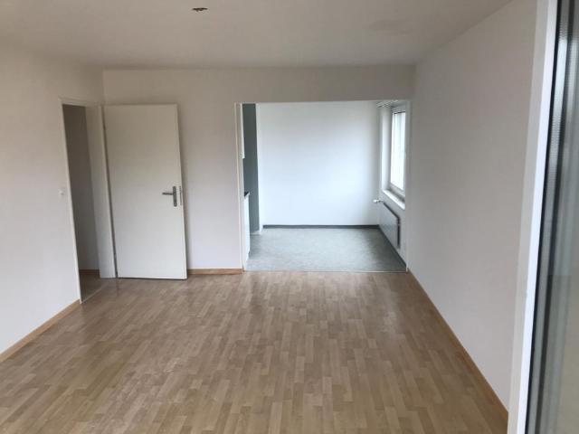 Apartment mieten in Oberdorf, Lachen