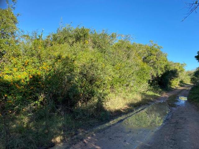 Property for sale in Bushmans River Mouth, Eastern Cape