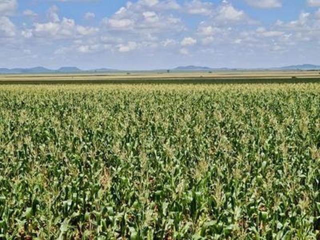 Farm for sale in Bloemfontein, Free State