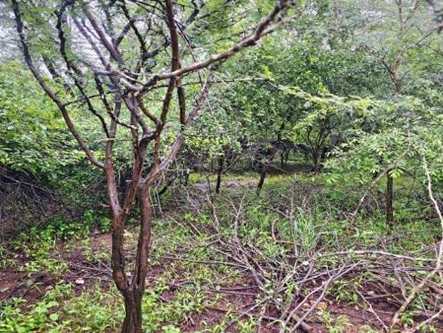 Property for sale in Ehlanzeni, Mpumalanga