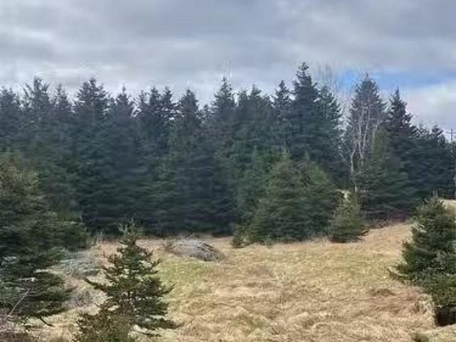 House for sale in Harbour Grace South, Newfoundland And Labrador