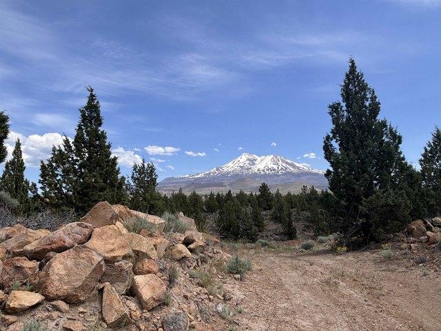 Land for sale in Weed, California