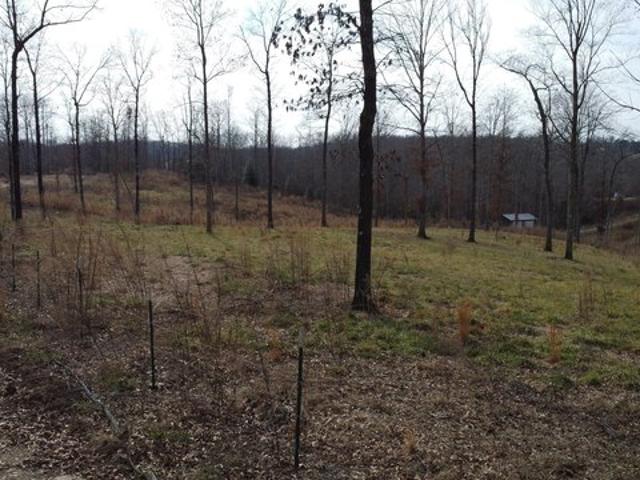 Land for sale in Cornelia, Georgia