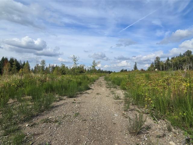 Land for sale in Buckley, Pierce County