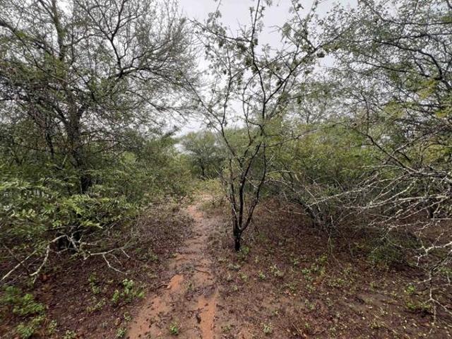 Property for sale in Ehlanzeni, Mpumalanga