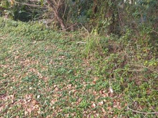 Property for sale in Ugu District Municipality, Kwazulu-natal