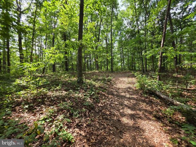 Land for sale in Hedgesville, West Virginia