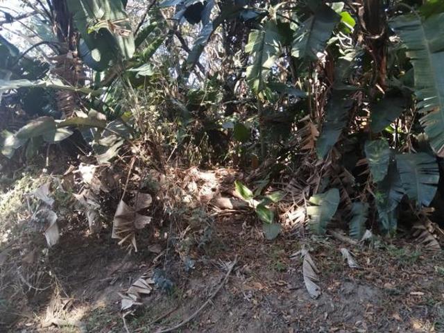 Property for sale in Ugu District Municipality, Kwazulu-natal