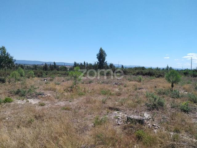 Terreno venda em Guarda, Seia