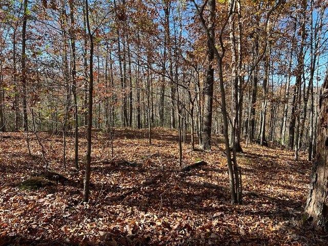 Land for sale in Tennessee