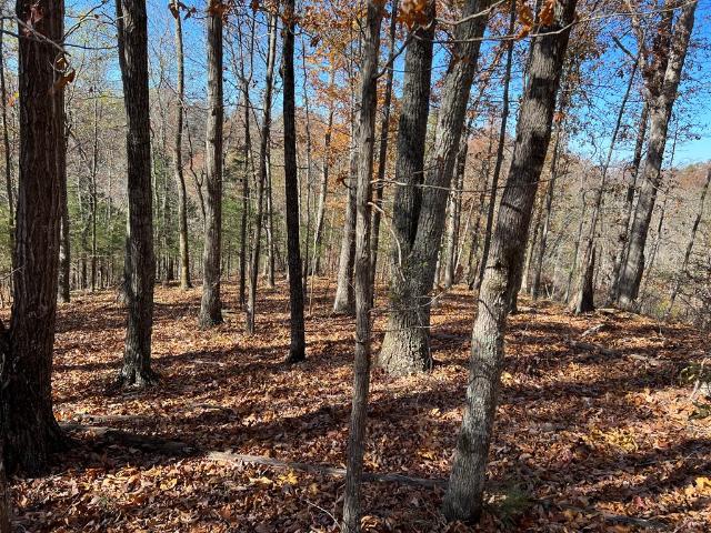 Land for sale in Tennessee