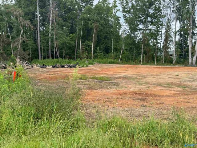 Commercial for sale in Centre, Alabama