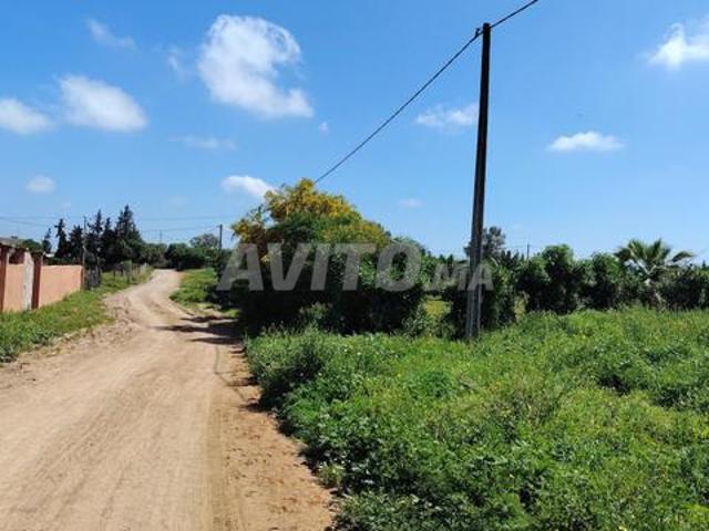 Propriété vente à Slimane, Gharb-Chrarda-Beni Hssen
