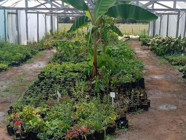 Farm for sale in Sedibeng, Gauteng