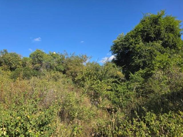 Land for sale in Mopani, Limpopo