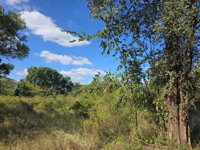 Land for sale in Mopani, Limpopo