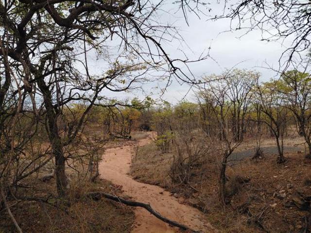 Land for sale in Mopani, Limpopo