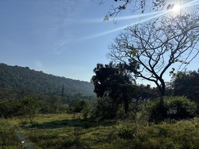 Land for sale in Mopani, Limpopo