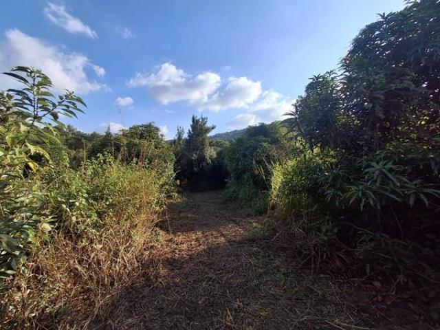 Land for sale in Mopani, Limpopo