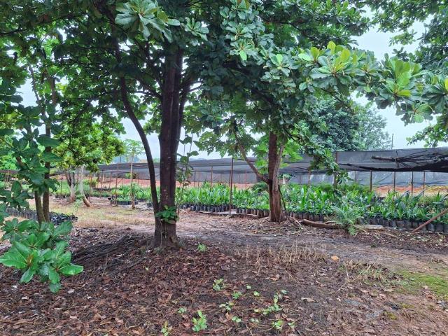 Property for sale in Mopani, Limpopo