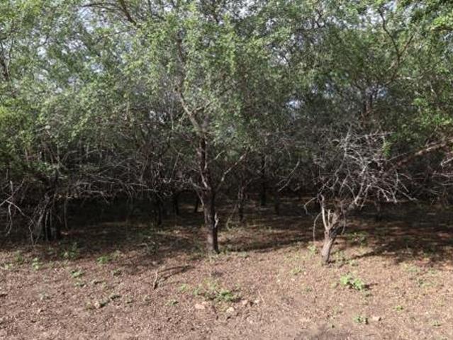 Property for sale in Ehlanzeni, Mpumalanga