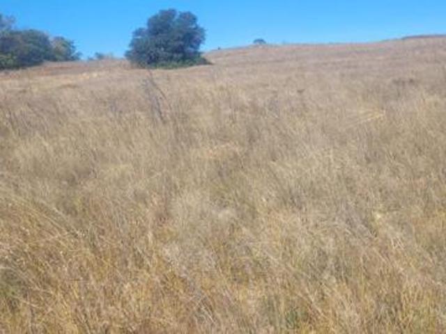 Property for sale in Oranjeville, Free State