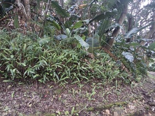 Property for sale in Southbroom, Hibiscus Coast Local Municipality