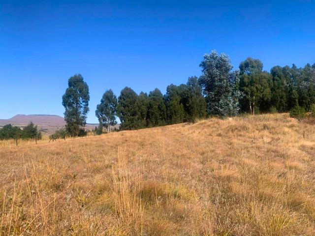 Property for sale in Drakensberg, Kwazulu-natal