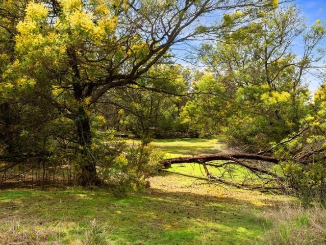 Land for sale in Creswick, Victoria