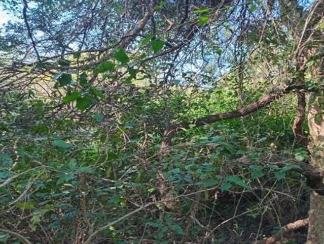 Property for sale in Ehlanzeni, Mpumalanga
