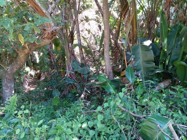 Property for sale in Ugu District Municipality, Kwazulu-natal