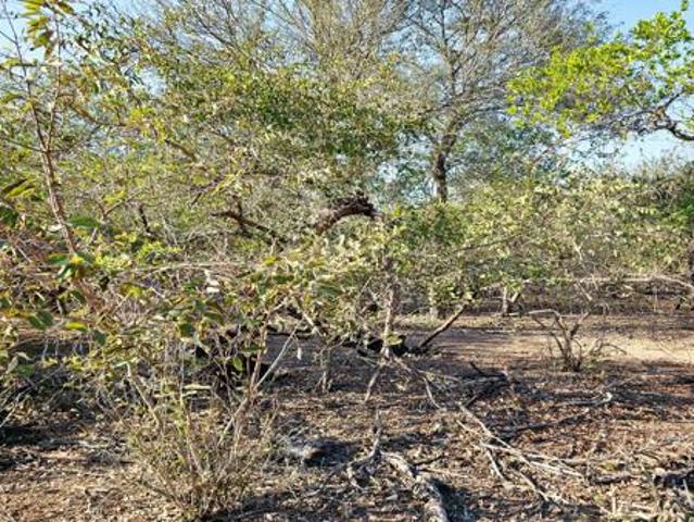 Property for sale in Ehlanzeni, Mpumalanga
