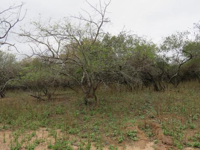 Property for sale in Ehlanzeni, Mpumalanga