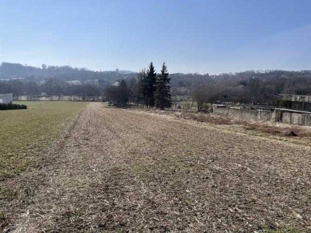 Grundstück kaufen in Draßburg, Burgenland