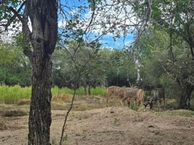 Property for sale in Komatipoort, Nkomazi