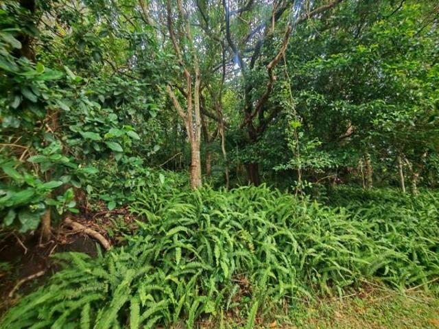 Property for sale in Ugu District Municipality, Kwazulu-natal