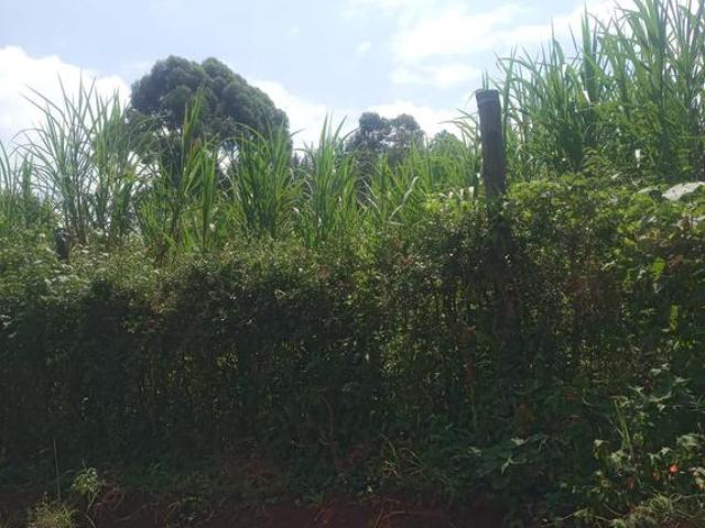 Land for sale in Limuru, Tigoni