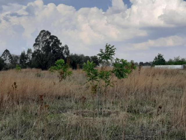 Land for sale in Sundra, Mpumalanga