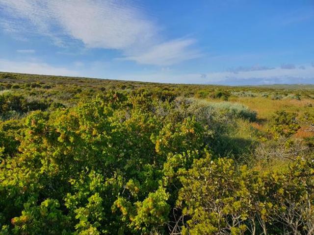 Land for sale in Western Cape