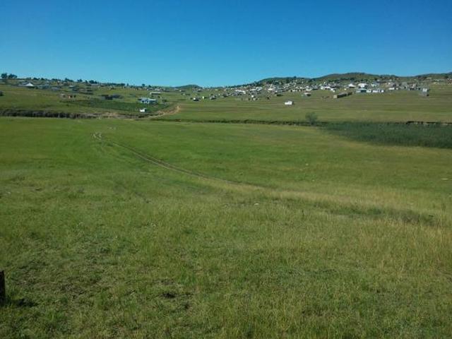 Land for sale in Amathole District Municipality, Eastern Cape