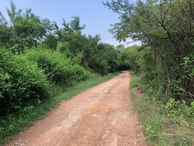 Land for sale in Ehlanzeni, Mpumalanga