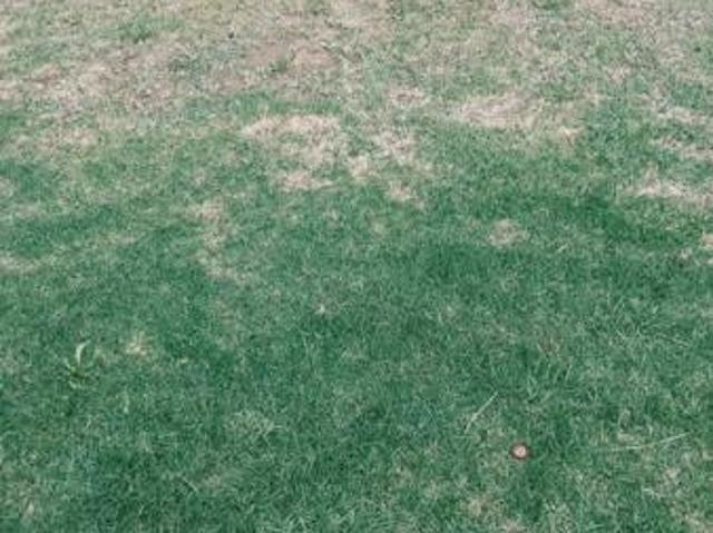 Land for sale in Gert Sibande, Mpumalanga