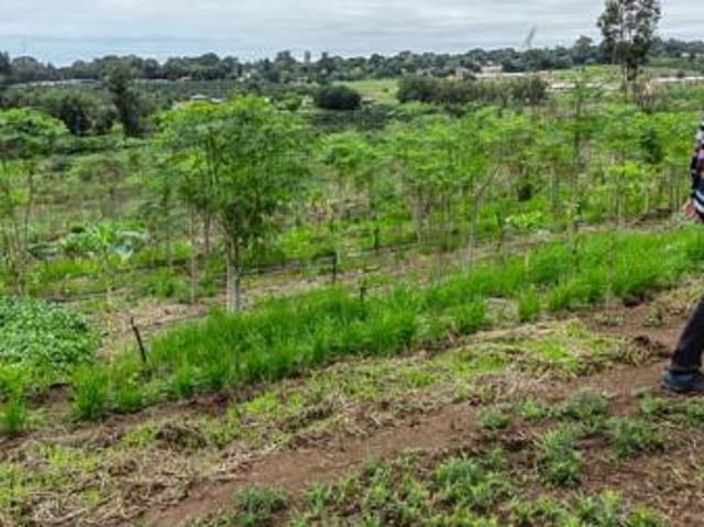 Land for sale in Ehlanzeni, Mpumalanga