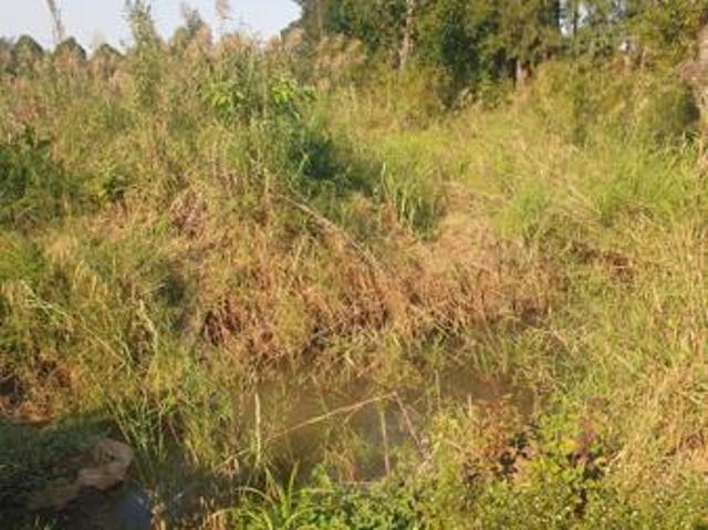 Land for sale in Ehlanzeni, Mpumalanga